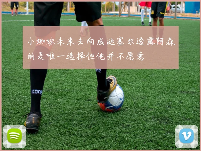 小蜘蛛未来去向成谜塞尔透露阿森纳是唯一选择但他并不愿意