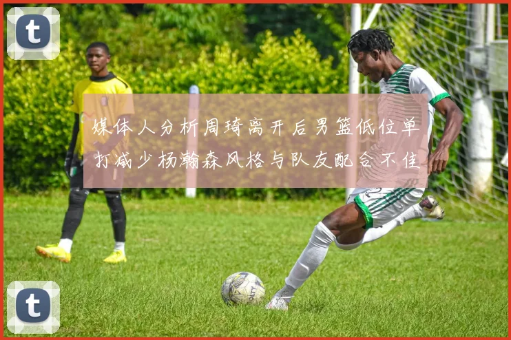媒体人分析周琦离开后男篮低位单打减少杨瀚森风格与队友配合不佳