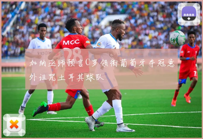 加纳巫师预言C罗领衔葡萄牙夺冠意外诅咒土耳其球队